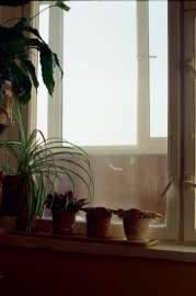 008010770011.webp