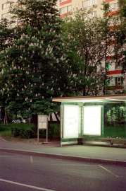 008010770012.webp