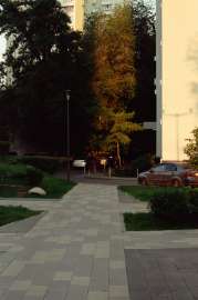 008010770018.webp