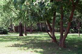 008010770029.webp