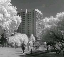 HNI0009wigglegram.gif