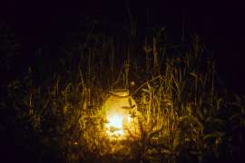 DSC05051.jpg