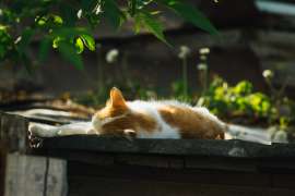 DSC05155.jpg
