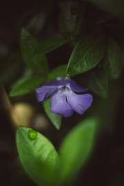 DSC05299.jpg