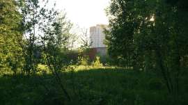 DSC00027.JPG