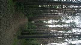 DSC0008.JPG