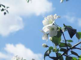IMG4378.jpg