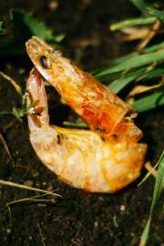DSC05795.jpg