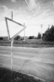 DSC05922.jpg