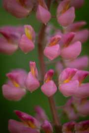 DSC05949.jpg