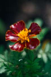 DSC05957.jpg