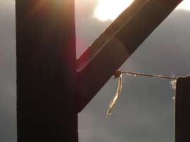 IMG5034.JPG