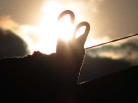 IMG5045.JPG