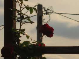 IMG5074.JPG