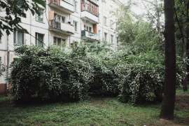 лоусайз-2.jpg