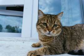 DSC06738.jpg