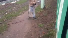 поймали с поличным.mp4