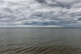IMG8066.JPG