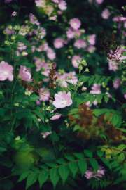 DSC07365.jpg