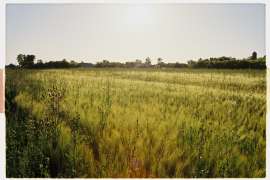 лоурез-4.jpg