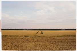 лоурез-8.jpg