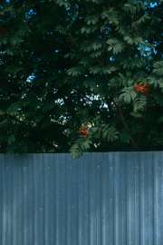 DSC07508.jpg