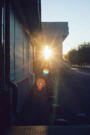 DSC07553.jpg