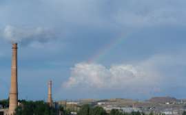 DSC07657.jpg