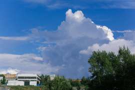 DSC07662.jpg