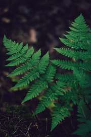 DSC07740.jpg