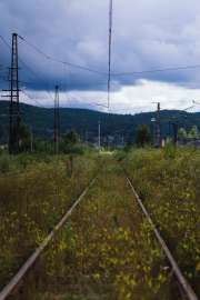DSC07700.jpg