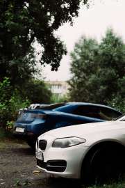 DSC07781.jpg