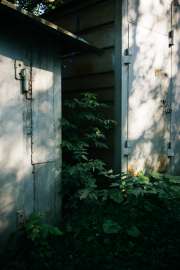 DSC07856.jpg