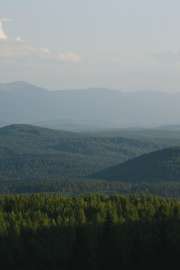 DSC07892.jpg