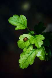 DSC03080 2.jpg