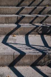 DSC0332.jpg