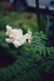 DSC0760.jpg