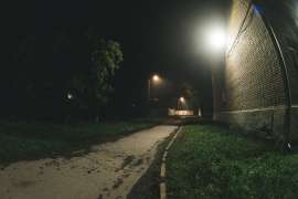 DSC0951.jpg