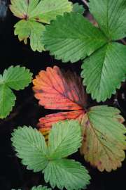 DSC1405.jpg