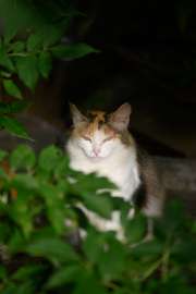 DSC1764.jpg