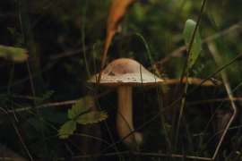 DSC3057.jpg