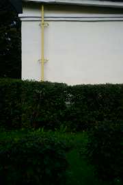DSC3145.jpg
