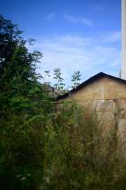 DSC3136.jpg