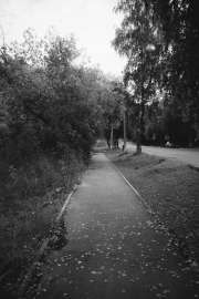 DSC3236.jpg