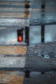 DSC3273.jpg