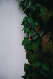 DSC3351.jpg