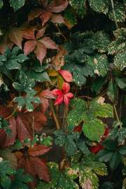DSC3350.jpg