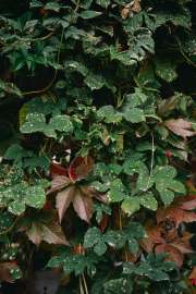 DSC3347.jpg