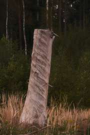 DSCF4133.jpg