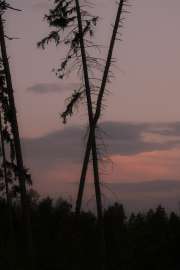 DSCF4147.jpg